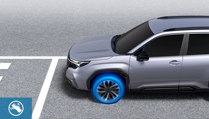 <sg-lang1>Retención de vehículos automáticos</sg-lang1><sg-lang2></sg-lang2><sg-lang3></sg-lang3>